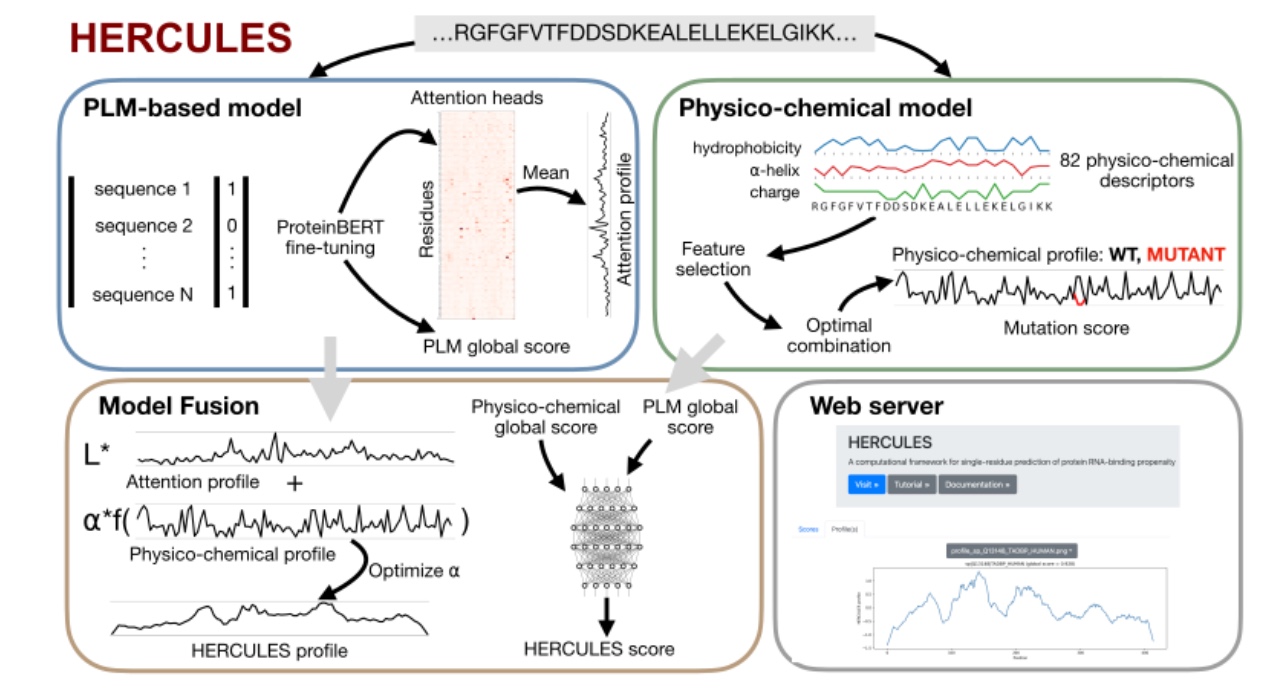 Figure 1 - HERCULES framework